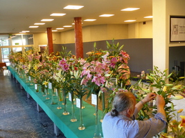 Foto: Dr. Peter Müller